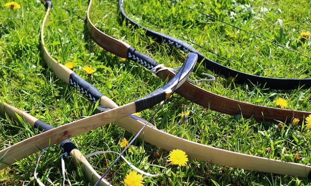 Rezultate Campionat National Arc Traditional 09-10.08.19 @ Olimpia, Bucuresti