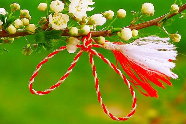 F.R.T.A. oferă cu prilejul zilei de 1 Martie un simbol al Primavarii