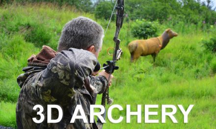 Rezultate Cupa Federatiei 3D 07-08.07.2023 @ Paltinis, Sibiu