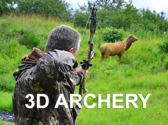 Rezultatele Campionat National 3D 11-13.10.19 @ Hateg