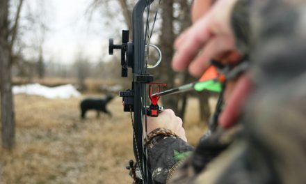 Invitatie Program Cupa Romaniei 3D 06-08.10.2023 @ Muzeul ASTRA, Sibiu