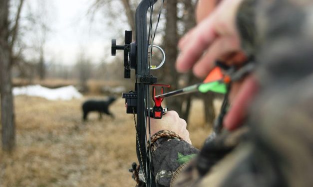 Invitatie Program Cupa Romaniei 3D 06-08.10.2023 @ Muzeul ASTRA, Sibiu