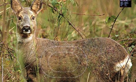 INVITATIE / PROGRAM Cupa Primăverii 2D 24-25.05 @ Bucuresti