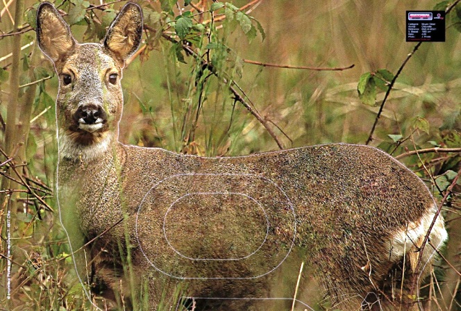 INVITATIE / PROGRAM Cupa Primăverii 2D 24-25.05 @ Bucuresti