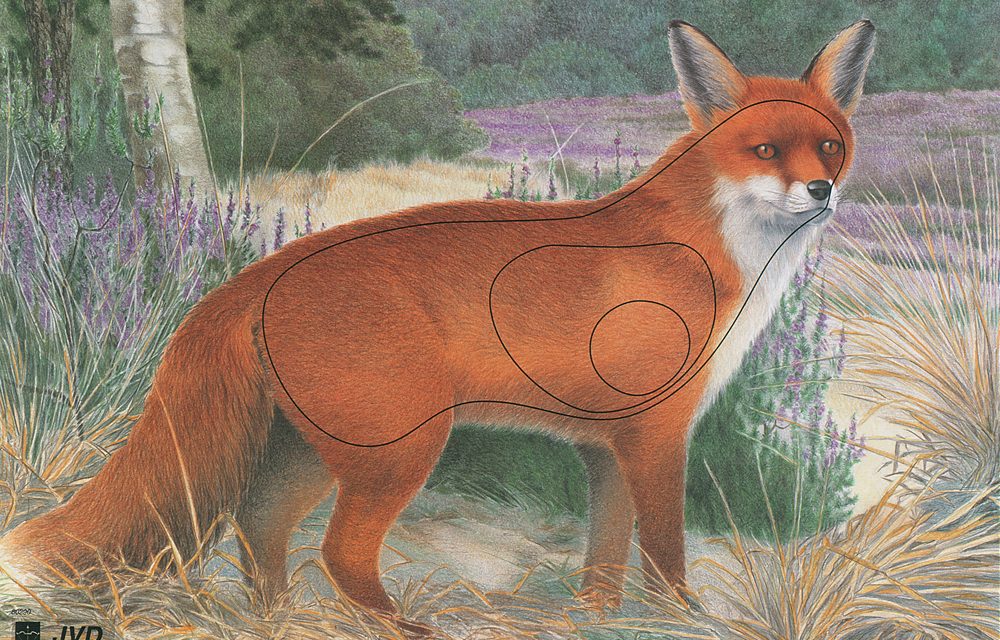 Rezultate Cupa Romaniei 2D 04-05.06.2021 @ Bucuresti