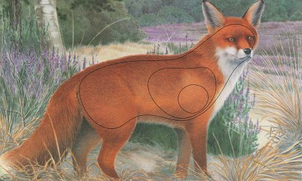 Rezultate Cupa Romaniei 2D 19-20.06.2020 @ Bucuresti