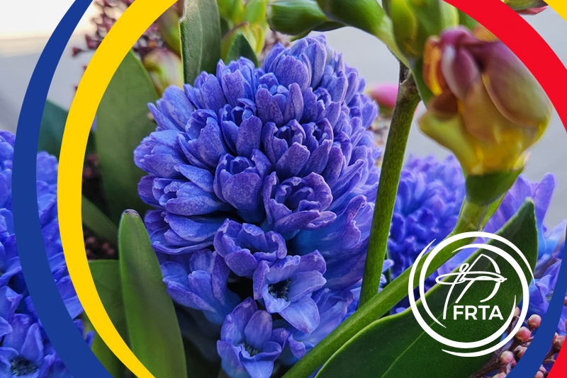 La mulți ani, doamnelor și domnișoarelor!