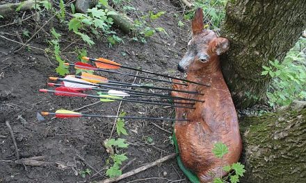 Invitatie Program Cupa României 3D 27 – 29.09.2024 @ Harghita