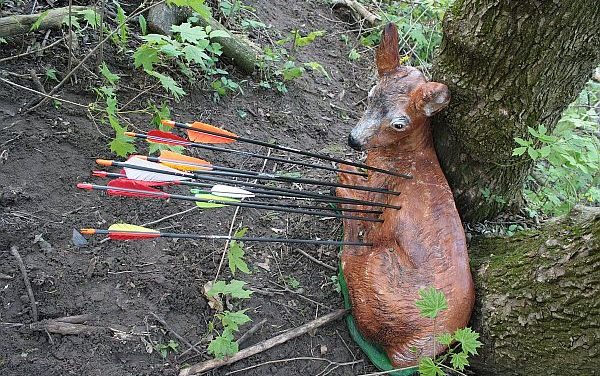 Invitatie Program Cupa României 3D 27 – 29.09.2024 @ Harghita