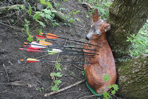 Invitatie Program Cupa României 3D 27 – 29.09.2024 @ Harghita