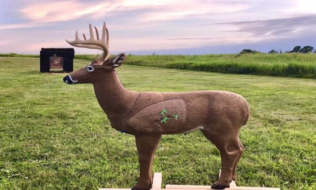 Rezultate Campionat National 3D 26-28.07.2024 @ Ocna de Jos